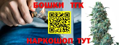 прущие грибы Канаш