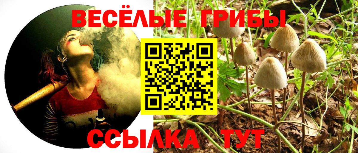 Псилоцибиновые грибы ЛСД  Вход с VPN  Краснокаменск 